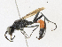 ( - CBG-A16652-B11)  @11 [ ] CreativeCommons - Attribution Share - Alike (2023) CBG Photography Group Centre for Biodiversity Genomics