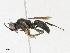  ( - CBG-A16652-E11)  @11 [ ] CreativeCommons - Attribution Share - Alike (2023) CBG Photography Group Centre for Biodiversity Genomics