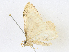  ( - CBG-A16657-A10)  @11 [ ] CreativeCommons - Attribution Share - Alike (2023) CBG Photography Group Centre for Biodiversity Genomics