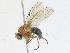  ( - CBG-A17492-C02)  @11 [ ] CreativeCommons - Attribution Share - Alike (2023) CBG Photography Group Centre for Biodiversity Genomics