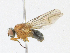  ( - CBG-A17492-C08)  @11 [ ] CreativeCommons - Attribution Share - Alike (2023) CBG Photography Group Centre for Biodiversity Genomics