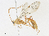  ( - CBG-A17492-F10)  @11 [ ] CreativeCommons - Attribution Share - Alike (2023) CBG Photography Group Centre for Biodiversity Genomics