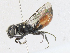  ( - CBG-A17517-E02)  @11 [ ] CreativeCommons - Attribution Share - Alike (2023) CBG Photography Group Centre for Biodiversity Genomics