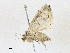  ( - CBG-A18365-A08)  @11 [ ] CreativeCommons - Attribution Share - Alike (2023) CBG Photography Group Centre for Biodiversity Genomics