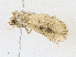  ( - CBG-A18365-A10)  @11 [ ] CreativeCommons - Attribution Share - Alike (2023) CBG Photography Group Centre for Biodiversity Genomics