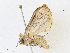  ( - CBG-A18365-A12)  @11 [ ] CreativeCommons - Attribution Share - Alike (2023) CBG Photography Group Centre for Biodiversity Genomics