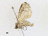  ( - CBG-A18365-B02)  @11 [ ] CreativeCommons - Attribution Share - Alike (2023) CBG Photography Group Centre for Biodiversity Genomics