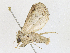  ( - CBG-A18365-B04)  @11 [ ] CreativeCommons - Attribution Share - Alike (2023) CBG Photography Group Centre for Biodiversity Genomics