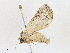  ( - CBG-A18365-B05)  @11 [ ] CreativeCommons - Attribution Share - Alike (2023) CBG Photography Group Centre for Biodiversity Genomics