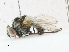  ( - CBG-A13264-E12)  @11 [ ] CreativeCommons - Attribution Share-Alike (2023) CBG Photography Group Centre for Biodiversity Genomics