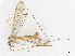  ( - CBG-A13264-G12)  @11 [ ] CreativeCommons - Attribution Share-Alike (2023) CBG Photography Group Centre for Biodiversity Genomics