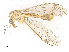  ( - CBG-A13264-H04)  @11 [ ] CreativeCommons - Attribution Share-Alike (2023) CBG Photography Group Centre for Biodiversity Genomics