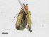  ( - CBG-A16659-C07)  @11 [ ] CreativeCommons - Attribution Share-Alike (2023) CBG Photography Group Centre for Biodiversity Genomics
