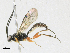  ( - CBG-A16659-E08)  @11 [ ] CreativeCommons - Attribution Share-Alike (2023) CBG Photography Group Centre for Biodiversity Genomics