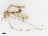  ( - CBG-A17511-F12)  @11 [ ] CreativeCommons - Attribution Share-Alike (2023) CBG Photography Group Centre for Biodiversity Genomics