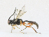  ( - CBG-A17512-B01)  @11 [ ] CreativeCommons - Attribution Share - Alike (2023) CBG Photography Group Centre for Biodiversity Genomics