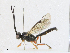  ( - CBG-A17512-B02)  @11 [ ] CreativeCommons - Attribution Share - Alike (2023) CBG Photography Group Centre for Biodiversity Genomics