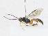  ( - CBG-A17512-B05)  @11 [ ] CreativeCommons - Attribution Share - Alike (2023) CBG Photography Group Centre for Biodiversity Genomics