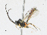  ( - CBG-A18397-B10)  @11 [ ] CreativeCommons - Attribution Share-Alike (2023) CBG Photography Group Centre for Biodiversity Genomics