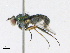  ( - CBG-A18398-A09)  @11 [ ] CreativeCommons - Attribution Share-Alike (2023) CBG Photography Group Centre for Biodiversity Genomics