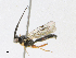  ( - CBG-A18398-A11)  @11 [ ] CreativeCommons - Attribution Share-Alike (2023) CBG Photography Group Centre for Biodiversity Genomics