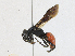  ( - CBG-A18398-C03)  @11 [ ] CreativeCommons - Attribution Share-Alike (2023) CBG Photography Group Centre for Biodiversity Genomics