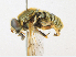  ( - CBG-A18398-D12)  @11 [ ] CreativeCommons - Attribution Share-Alike (2023) CBG Photography Group Centre for Biodiversity Genomics