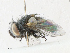  ( - CBG-A21633-C12)  @11 [ ] CreativeCommons - Attribution Share - Alike (2023) CBG Photography Group Centre for Biodiversity Genomics