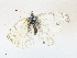  ( - CBG-A21633-G09)  @11 [ ] CreativeCommons - Attribution Share - Alike (2023) CBG Photography Group Centre for Biodiversity Genomics