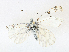 ( - CBG-A21633-G12)  @11 [ ] CreativeCommons - Attribution Share - Alike (2023) CBG Photography Group Centre for Biodiversity Genomics