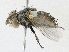  ( - CBG-A21634-B11)  @11 [ ] CreativeCommons - Attribution Share - Alike (2023) CBG Photography Group Centre for Biodiversity Genomics