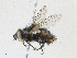  ( - CBG-A21634-C10)  @11 [ ] CreativeCommons - Attribution Share - Alike (2023) CBG Photography Group Centre for Biodiversity Genomics