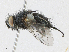  ( - CBG-A21634-D08)  @11 [ ] CreativeCommons - Attribution Share - Alike (2023) CBG Photography Group Centre for Biodiversity Genomics