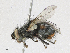  ( - CBG-A21634-E08)  @11 [ ] CreativeCommons - Attribution Share - Alike (2023) CBG Photography Group Centre for Biodiversity Genomics