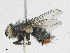  ( - CBG-A21634-F05)  @11 [ ] CreativeCommons - Attribution Share - Alike (2023) CBG Photography Group Centre for Biodiversity Genomics