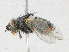  ( - CBG-A21634-F10)  @11 [ ] CreativeCommons - Attribution Share - Alike (2023) CBG Photography Group Centre for Biodiversity Genomics