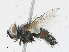  ( - CBG-A21635-A04)  @11 [ ] CreativeCommons - Attribution Share - Alike (2023) CBG Photography Group Centre for Biodiversity Genomics