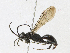  ( - CBG-A17551-A12)  @11 [ ] CreativeCommons - Attribution Share - Alike (2023) CBG Photography Group Centre for Biodiversity Genomics