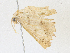  ( - CBG-A17553-C10)  @11 [ ] CreativeCommons - Attribution Share - Alike (2023) CBG Photography Group Centre for Biodiversity Genomics