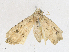  ( - CBG-A17553-D05)  @11 [ ] CreativeCommons - Attribution Share - Alike (2023) CBG Photography Group Centre for Biodiversity Genomics