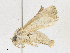  ( - CBG-A17553-D06)  @11 [ ] CreativeCommons - Attribution Share - Alike (2023) CBG Photography Group Centre for Biodiversity Genomics