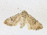  ( - CBG-A17553-D07)  @11 [ ] CreativeCommons - Attribution Share - Alike (2023) CBG Photography Group Centre for Biodiversity Genomics