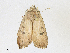  ( - CBG-A17553-D08)  @11 [ ] CreativeCommons - Attribution Share - Alike (2023) CBG Photography Group Centre for Biodiversity Genomics