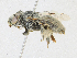  ( - CBG-A18354-F09)  @11 [ ] CreativeCommons - Attribution Share - Alike (2023) CBG Photography Group Centre for Biodiversity Genomics