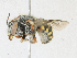  ( - CBG-A18354-F11)  @11 [ ] CreativeCommons - Attribution Share - Alike (2023) CBG Photography Group Centre for Biodiversity Genomics