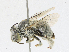  ( - CBG-A18356-B06)  @11 [ ] CreativeCommons - Attribution Share - Alike (2023) CBG Photography Group Centre for Biodiversity Genomics