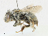  ( - CBG-A18356-B09)  @11 [ ] CreativeCommons - Attribution Share - Alike (2023) CBG Photography Group Centre for Biodiversity Genomics