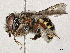  ( - CBG-A18356-D05)  @11 [ ] CreativeCommons - Attribution Share - Alike (2023) CBG Photography Group Centre for Biodiversity Genomics