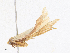  ( - CBG-A18356-H03)  @11 [ ] CreativeCommons - Attribution Share - Alike (2023) CBG Photography Group Centre for Biodiversity Genomics