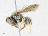  ( - CBG-A18358-H07)  @11 [ ] CreativeCommons - Attribution Share - Alike (2023) CBG Photography Group Centre for Biodiversity Genomics